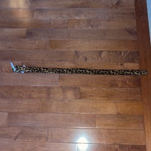 American Eagle cheetah print belt